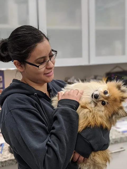 Veterinaria atendiendo a un perro